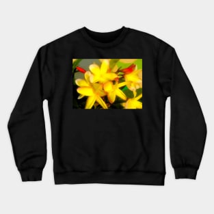 Love Blooms Crewneck Sweatshirt